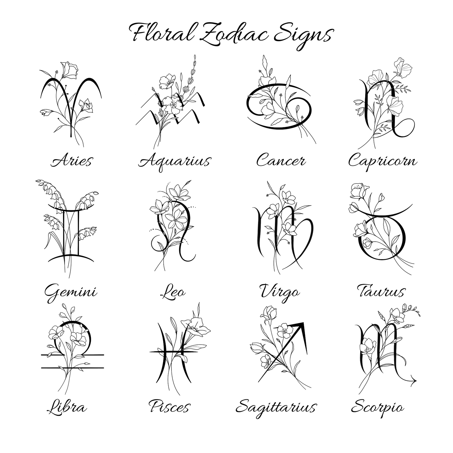 the twelve zodiac signs