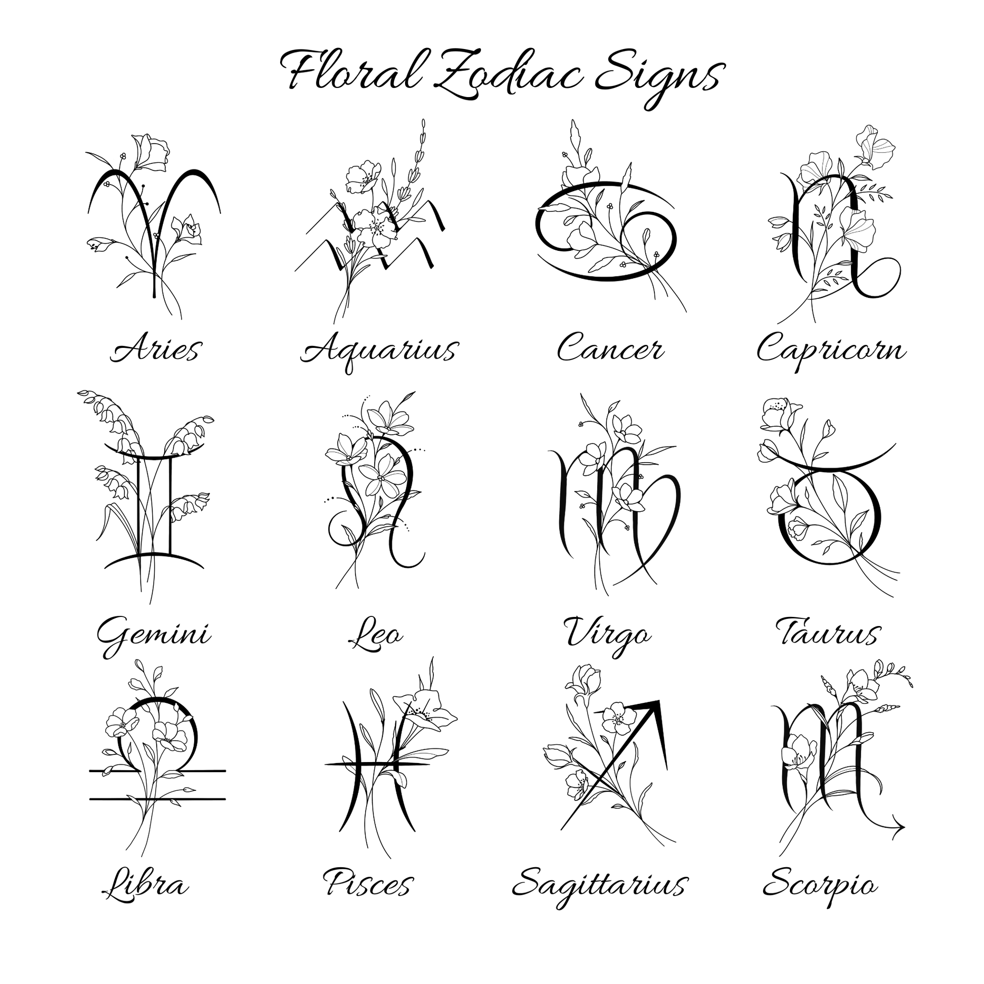 the twelve zodiac signs